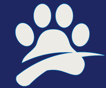 Main Logo