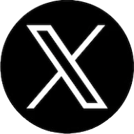 x icon